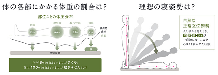 整圧敷きふとん　体の各部にかかる体重負担の割合は？理想の寝姿勢は？