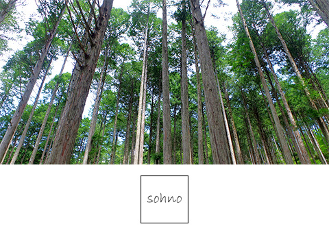 すのこベッド